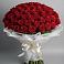 Букет 101 Красная роза Блэк Мэджик в Сарманово