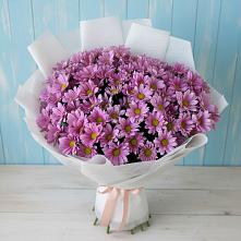 Букет цветов из:  Хризантемы в Сарманово