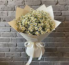 Букет цветов из:  Ромашки в Сарманово