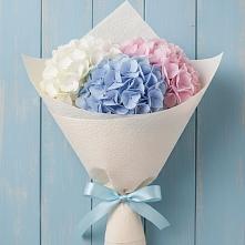 Букет цветов из:  Гортензия в Сарманово