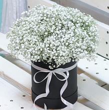 Цветочная композиция из Гипсофила в шляпной коробке #REPLACE_PRED# Сарманово