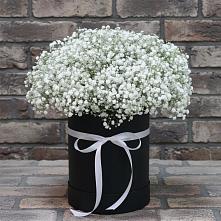 Цветочная композиция из Гипсофила в шляпной коробке #REPLACE_PRED# Сарманово