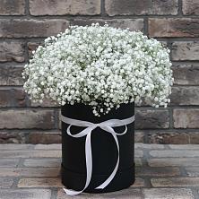 Цветочная композиция из Гипсофила в шляпной коробке в Сарманово