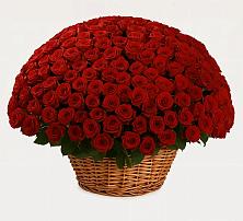 Премиум букет из: Розы в Сарманово